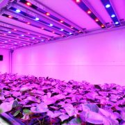 چراغ LED رشد گیاه - گروه صنعتی مهر